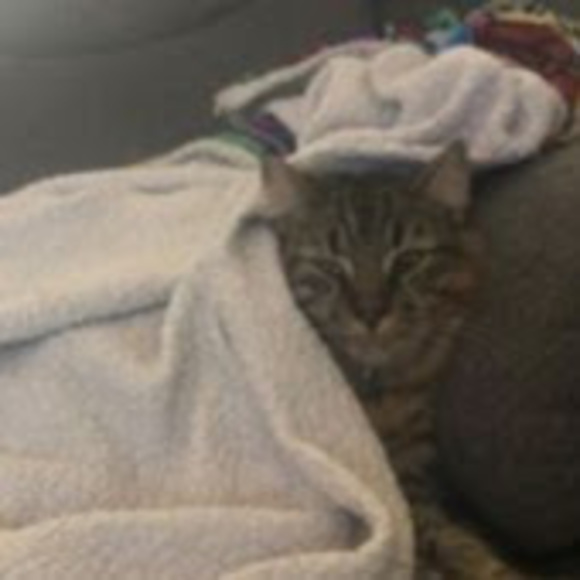 Meet your Posher, Kylee - Picture 1 of 1